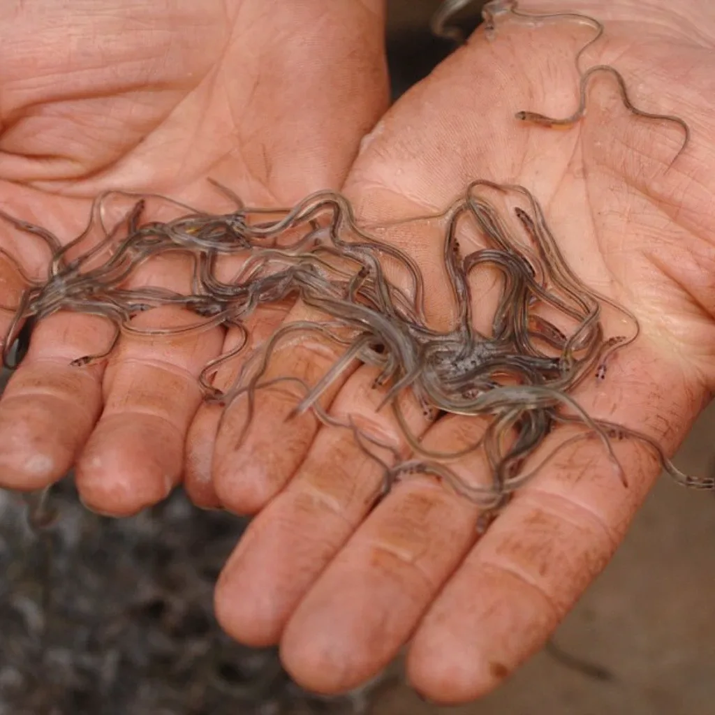 Тестовий товар